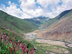 
We descend from the Babusar Pass into the Kaghan Valley to see beautiful wildflowers blooming on the side of the road with the dark green waters of Lake Lulusar (3350m) in the distance.
